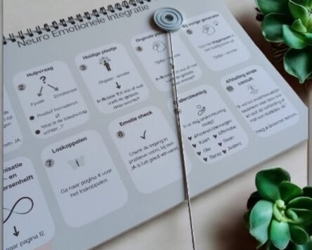 Werkboek Neuro Emotionele Integratie met biotensor op tafel naast vetplanten