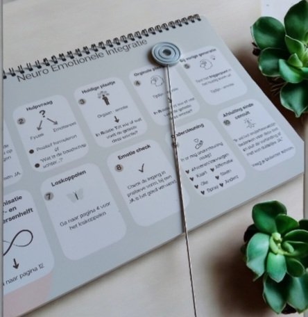 NEItherapie jouw energetisch fundament