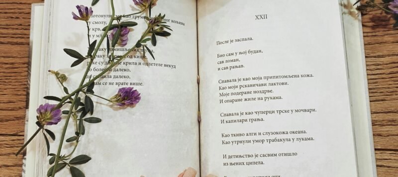 Opengeslagen boek met koffie en gedroogde bloemen op een houten tafel