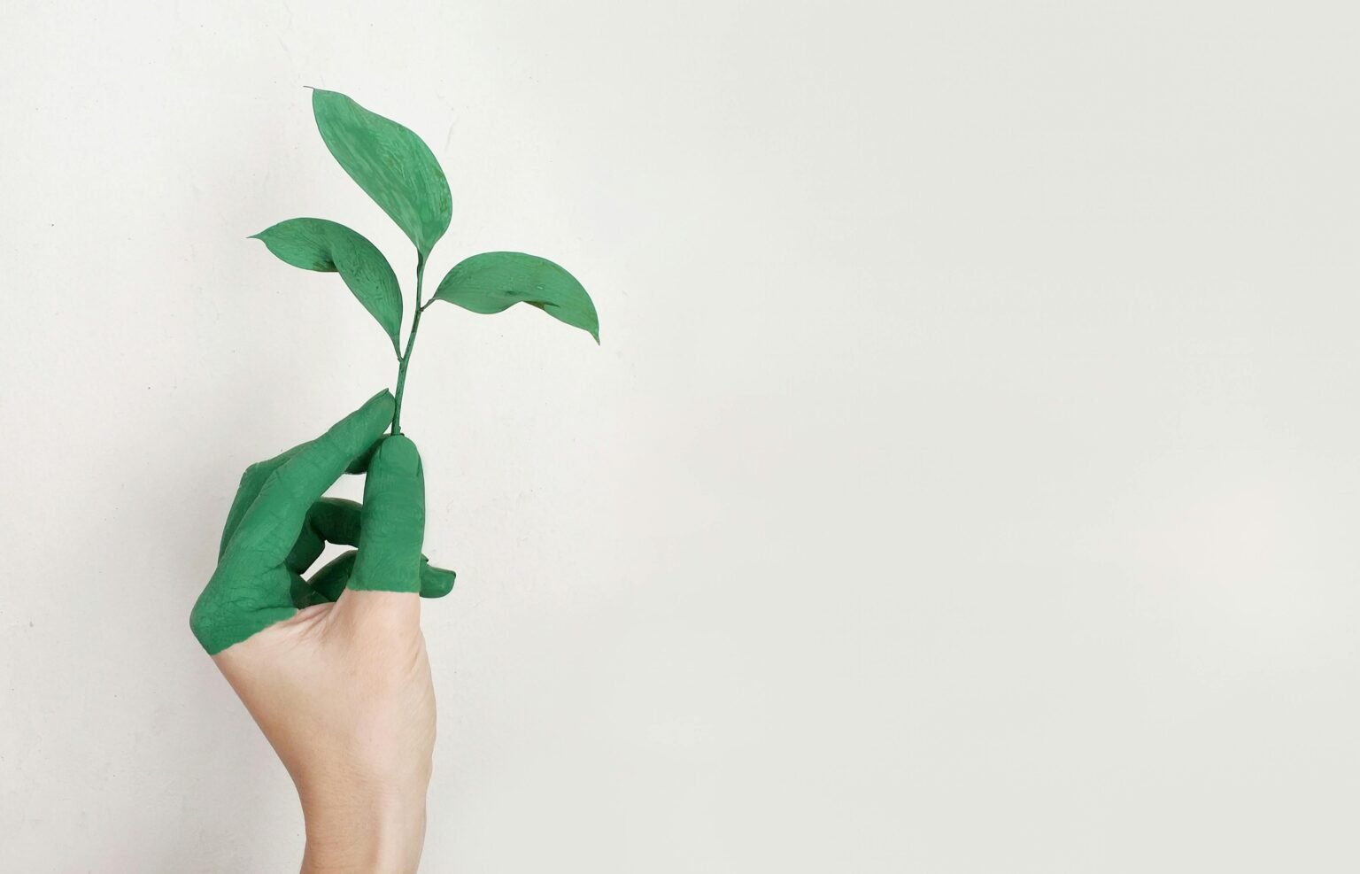 Groen geverfde hand houdt een jong takje met bladeren omhoog