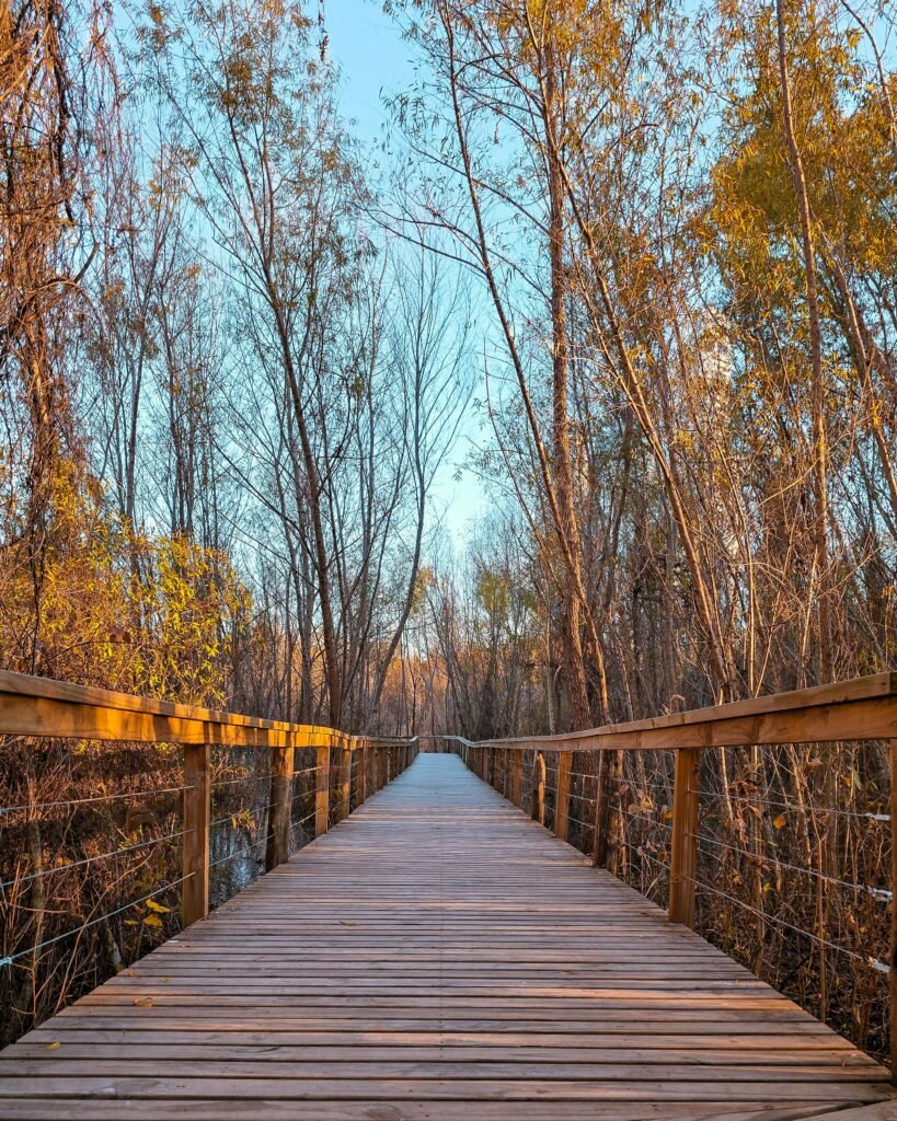 spirituele connectie