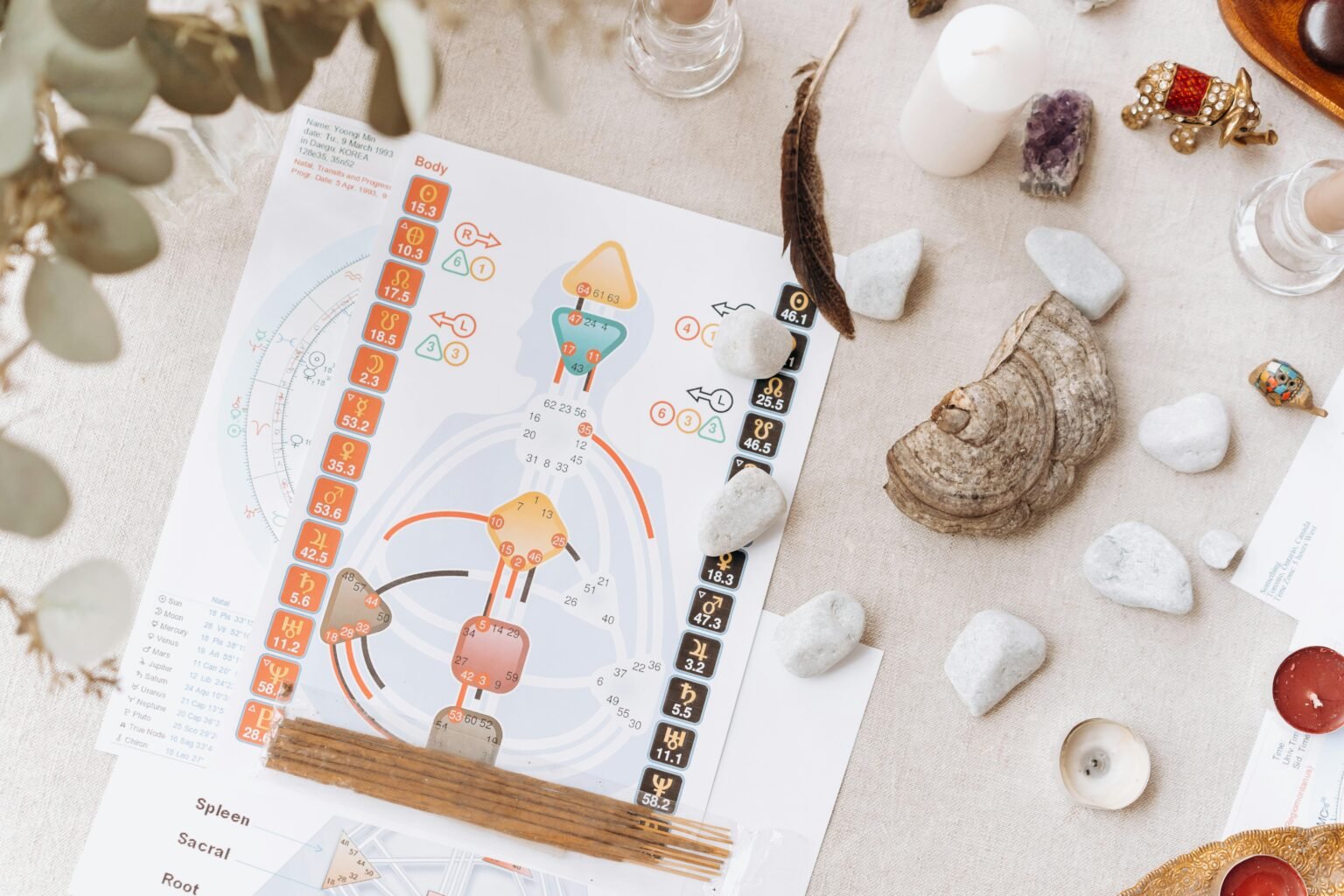 leer werken met Human Design